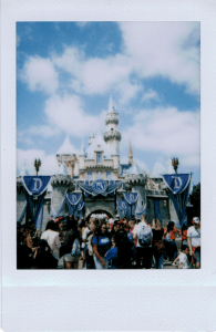 disneylandcastle